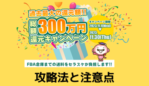 【黒字案件】セラースケットの送料2万円還元キャンペーン　やり方と注意点